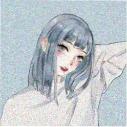用户 猫町管理员 的头像